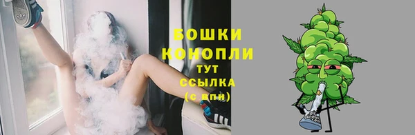 mdpv Медвежьегорск