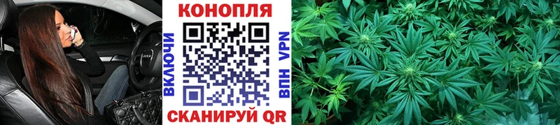 Канабис LSD WEED  мега tor  Зеленоградск 